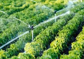Irrigation Systems